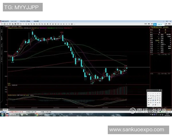 上海羽毛球队与深圳羽毛球队赛后复盘分析比赛节奏与战术对比 上海羽毛球队与深圳羽毛球队赛后复盘分析比赛节奏与战术对比